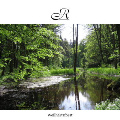 Weilhartsforst