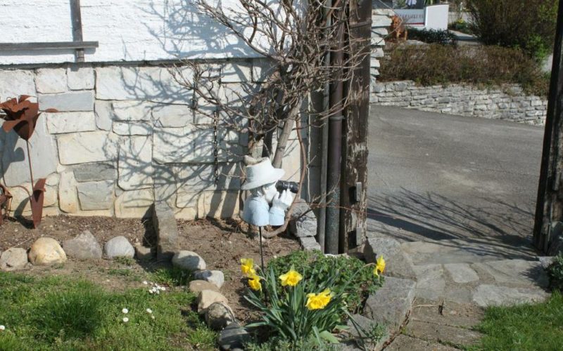 Der Garten der Pension Rosengarten in Franking am Holzöstersee - ein Einöd für die Ruhe!