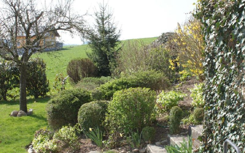 Der Garten der Pension Rosengarten in Franking am Holzöstersee - ein Einöd für die Ruhe!