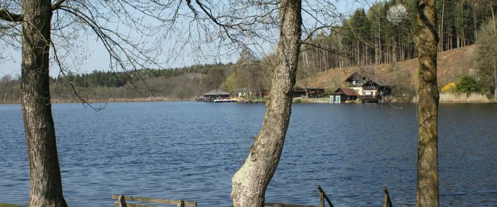 Ein Spaziergang um den Holzöstersee in Franking, Oberösterreich. Genießen Sie Ihren Urlaub in der Pension Rosengarten!