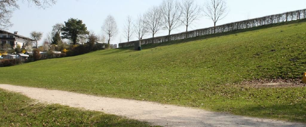 Ein Spaziergang um den Holzöstersee in Franking, Oberösterreich. Genießen Sie Ihren Urlaub in der Pension Rosengarten!