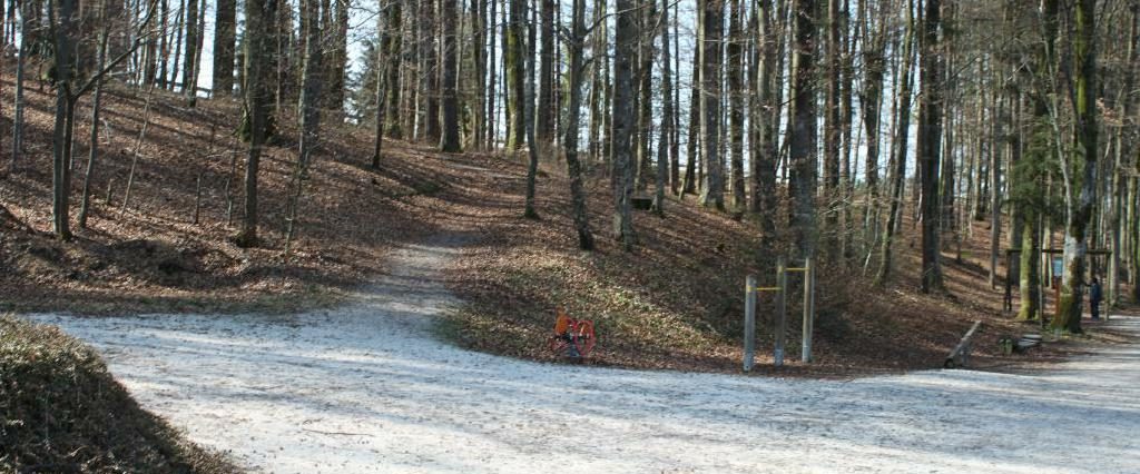 Ein Spaziergang um den Holzöstersee in Franking, Oberösterreich. Genießen Sie Ihren Urlaub in der Pension Rosengarten!