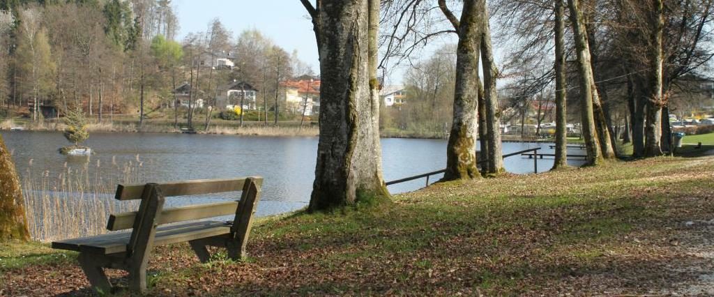 Ein Spaziergang um den Holzöstersee in Franking, Oberösterreich. Genießen Sie Ihren Urlaub in der Pension Rosengarten!