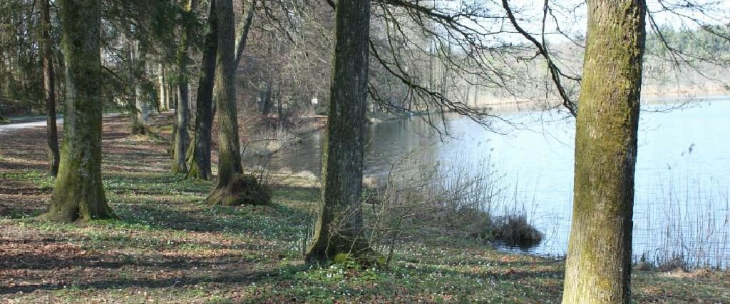 Ein Spaziergang um den Holzöstersee in Franking, Oberösterreich. Genießen Sie Ihren Urlaub in der Pension Rosengarten!
