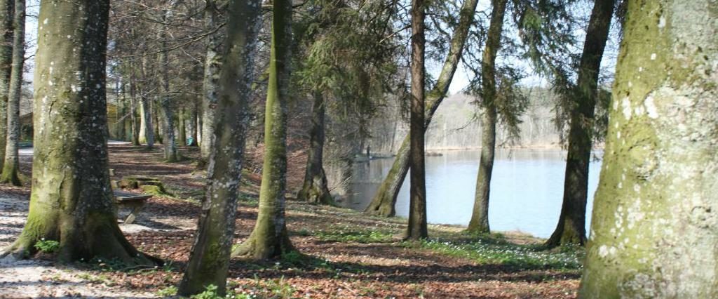 Ein Spaziergang um den Holzöstersee in Franking, Oberösterreich. Genießen Sie Ihren Urlaub in der Pension Rosengarten!