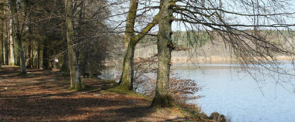 Ein Spaziergang um den Holzöstersee in Franking, Oberösterreich. Genießen Sie Ihren Urlaub in der Pension Rosengarten!