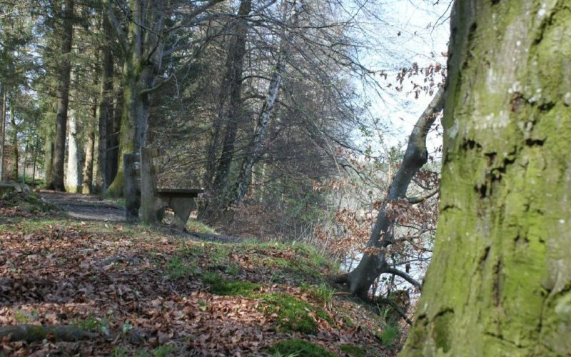 Direkt in unmittelbarer Nähe unserer gemütlichen Pension finden Sie am und um den Holzöstersee schöne Plätze zum Genießen und Entspannen.