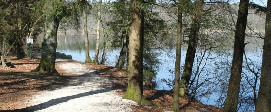 Ein Spaziergang um den Holzöstersee in Franking, Oberösterreich. Genießen Sie Ihren Urlaub in der Pension Rosengarten!