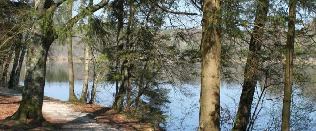 Ein Spaziergang um den Holzöstersee in Franking, Oberösterreich. Genießen Sie Ihren Urlaub in der Pension Rosengarten!