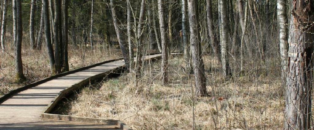 Ein Spaziergang um den Holzöstersee in Franking, Oberösterreich. Genießen Sie Ihren Urlaub in der Pension Rosengarten!