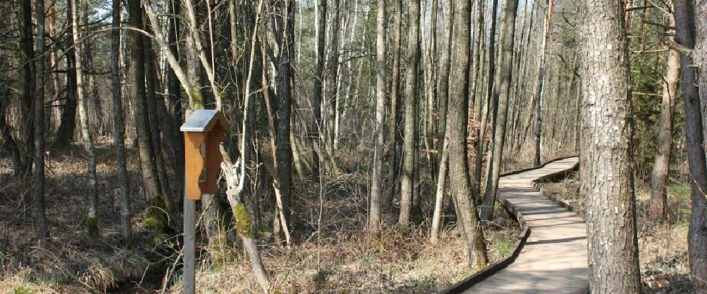 Ein Spaziergang um den Holzöstersee in Franking, Oberösterreich. Genießen Sie Ihren Urlaub in der Pension Rosengarten!
