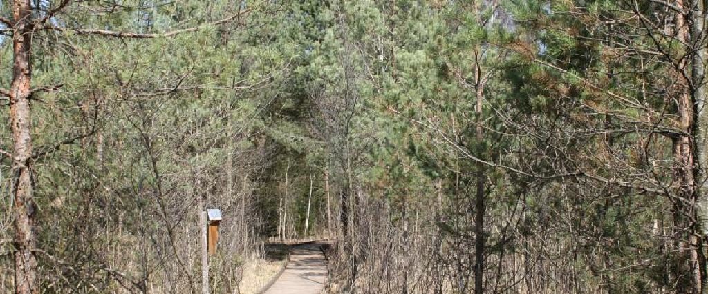 Ein Spaziergang um den Holzöstersee in Franking, Oberösterreich. Genießen Sie Ihren Urlaub in der Pension Rosengarten!
