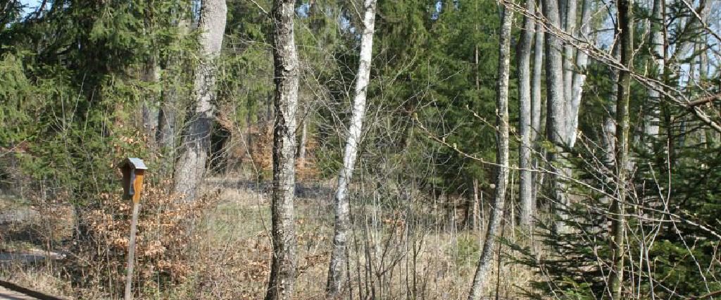 Ein Spaziergang um den Holzöstersee in Franking, Oberösterreich. Genießen Sie Ihren Urlaub in der Pension Rosengarten!