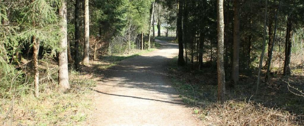 Ein Spaziergang um den Holzöstersee in Franking, Oberösterreich. Genießen Sie Ihren Urlaub in der Pension Rosengarten!