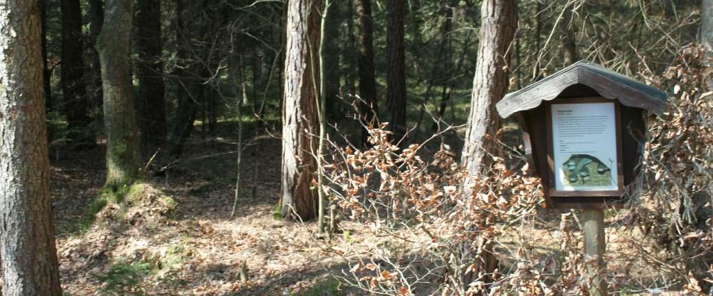 Ein Spaziergang um den Holzöstersee in Franking, Oberösterreich. Genießen Sie Ihren Urlaub in der Pension Rosengarten!