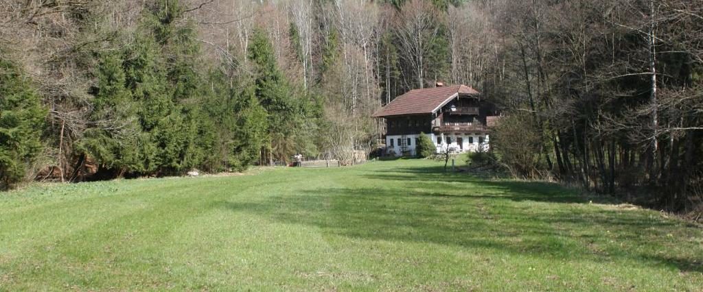 Ein Spaziergang um den Holzöstersee in Franking, Oberösterreich. Genießen Sie Ihren Urlaub in der Pension Rosengarten!