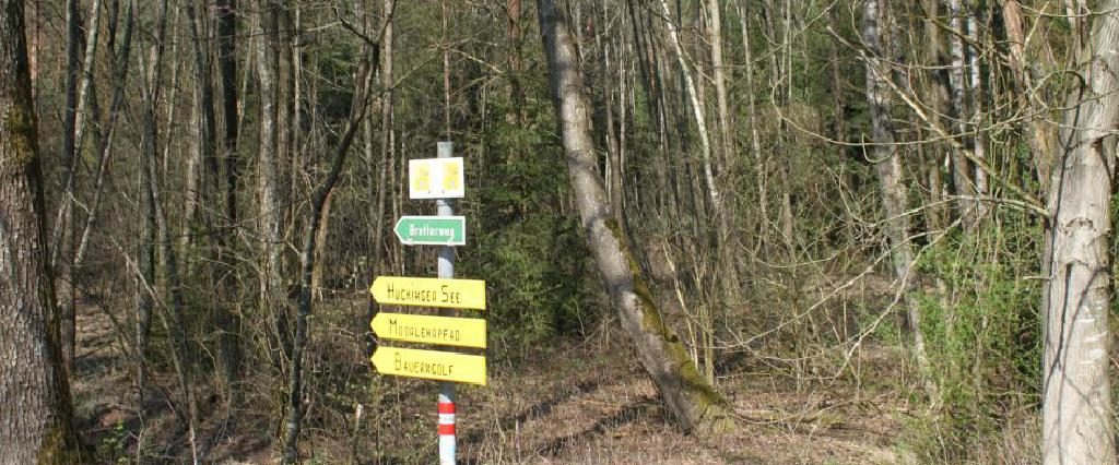 Ein Spaziergang um den Holzöstersee in Franking, Oberösterreich. Genießen Sie Ihren Urlaub in der Pension Rosengarten!