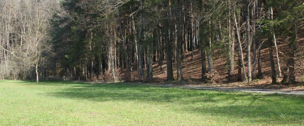 Ein Spaziergang um den Holzöstersee in Franking, Oberösterreich. Genießen Sie Ihren Urlaub in der Pension Rosengarten!