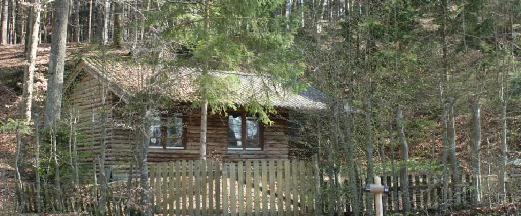 Ein Spaziergang um den Holzöstersee in Franking, Oberösterreich. Genießen Sie Ihren Urlaub in der Pension Rosengarten!