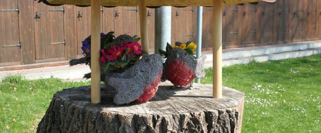 Ein Spaziergang um den Holzöstersee in Franking, Oberösterreich. Genießen Sie Ihren Urlaub in der Pension Rosengarten!