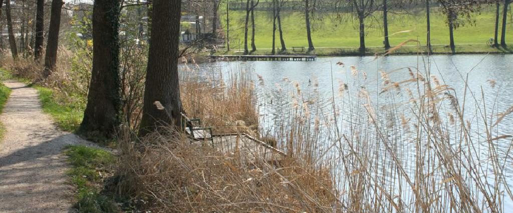 Ein Spaziergang um den Holzöstersee in Franking, Oberösterreich. Genießen Sie Ihren Urlaub in der Pension Rosengarten!