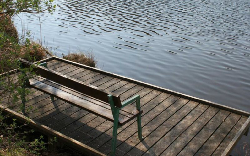 Direkt in unmittelbarer Nähe unserer gemütlichen Pension finden Sie am und um den Holzöstersee schöne Plätze zum Genießen und Entspannen.