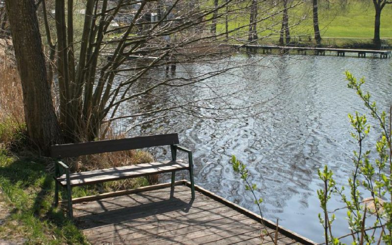 Direkt in unmittelbarer Nähe unserer gemütlichen Pension finden Sie am und um den Holzöstersee schöne Plätze zum Genießen und Entspannen.