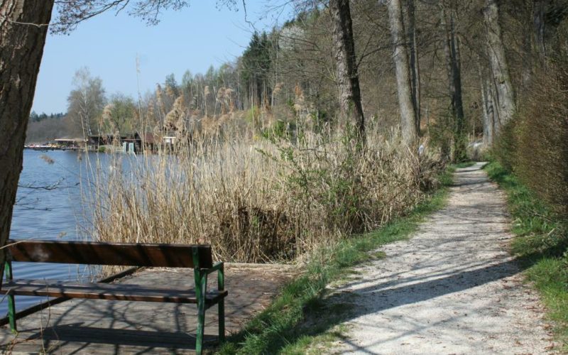 Direkt in unmittelbarer Nähe unserer gemütlichen Pension finden Sie am und um den Holzöstersee schöne Plätze zum Genießen und Entspannen.