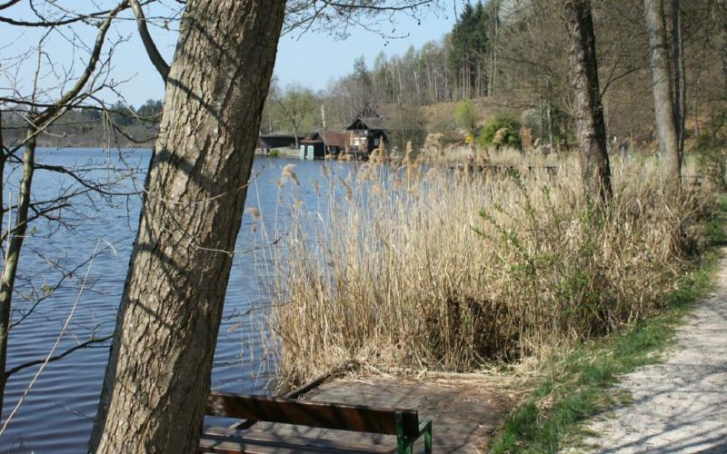 Direkt in unmittelbarer Nähe unserer gemütlichen Pension finden Sie am und um den Holzöstersee schöne Plätze zum Genießen und Entspannen.